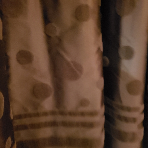 Mink Coat by Furrier Rosen Engelson - Picture 7 of 12